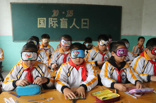 体验的组成：体验盲人的生命_500字