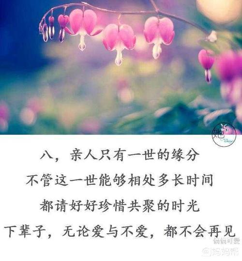 家庭，友谊，爱_1000字