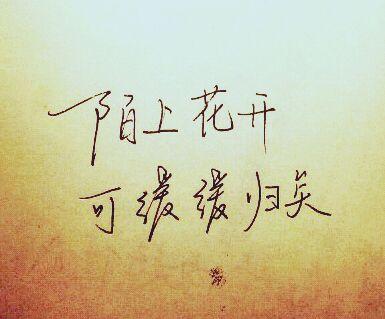 友谊_150字