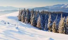 不做失败的读者_500字