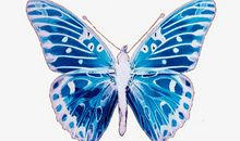 [2016新年心愿]破茧成蝶成学霸_650字