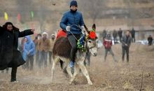 骑着自家的破驴走自己的路_1200字