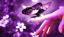 那是你指尖的温柔（二）_1500字