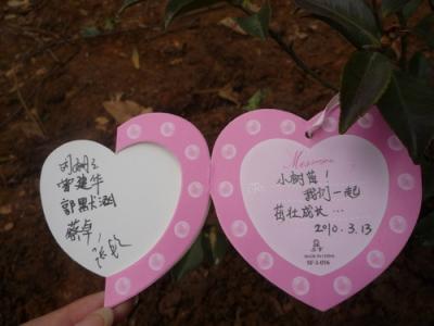 [2016年新年的愿望]贾佳的16年愿望_800字
