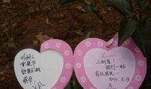 [2016新年心愿]贾贾的16年的心愿_800字