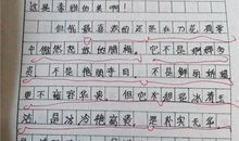 关于照片的作文：最美的照片_350字
