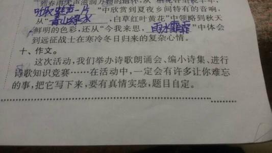 图上的组成：令人难忘的照片_450字