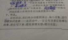 关于照片的作文：难忘的照片_450字