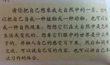 关于照片的作文：三张照片_700字