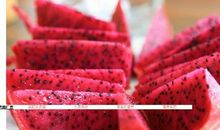 初一说明文：火龙果_500字