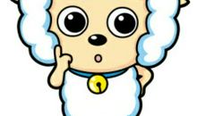 喜羊羊与灰太狼_900字