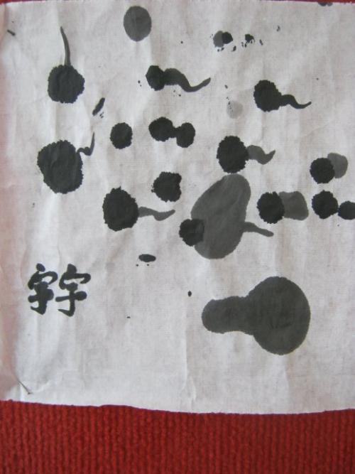 小蝌蚪蚪蚪__300字
