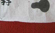 水沟里的小蝌蚪_300字