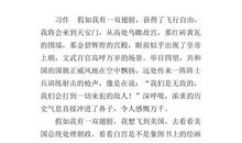 假如给我一双翅膀_700字