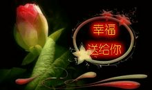 珍惜自己的梦_800字