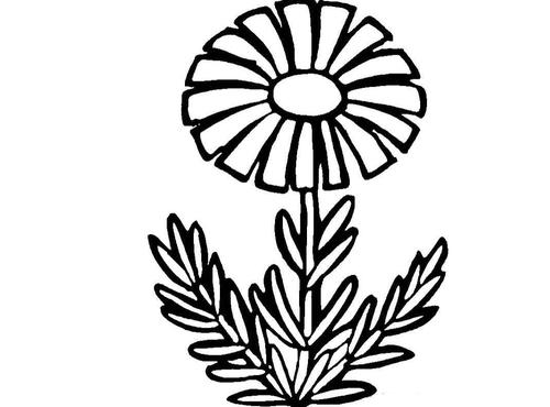 在海中笑着凄凉_1500字