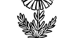 沧海一声笑的傲然与恬淡_1500字