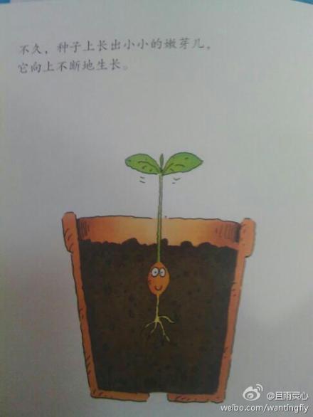 我也是一个种子_1000字