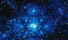 和星星一起玩_500字