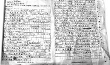 母鸭要跳槽？_700字