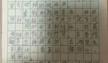 假如我有一双翅膀_450字