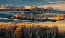 秋天里的童话_1500字