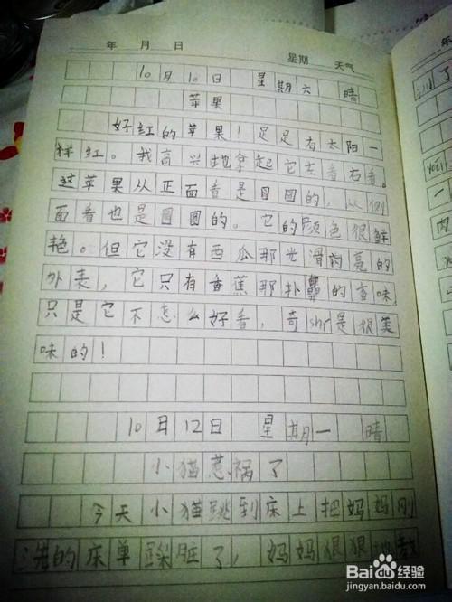 未来日记_300字