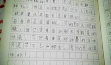 未来日记_300字