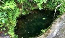 生命的泉水_700字