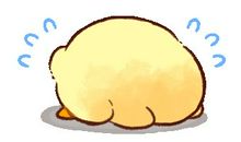 可爱的小鸡_250字