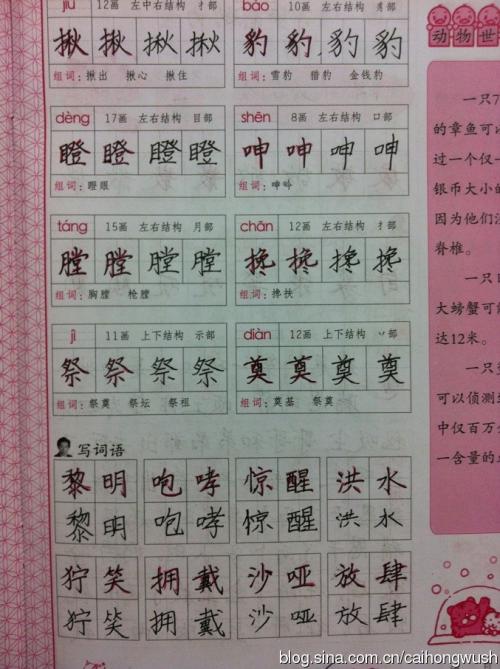 我的“上帝”_1000字