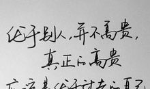 我是一棵树_500字