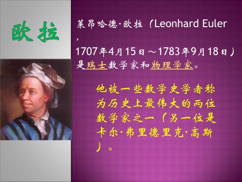Mathematician Euler小学问题“明星”被删除