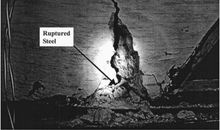 tourist behavior_1000字