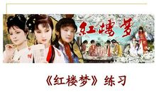 《红楼梦》片断阅读理解