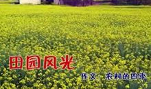 一年四季的乡下_300字