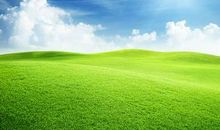 美丽的草原_350字