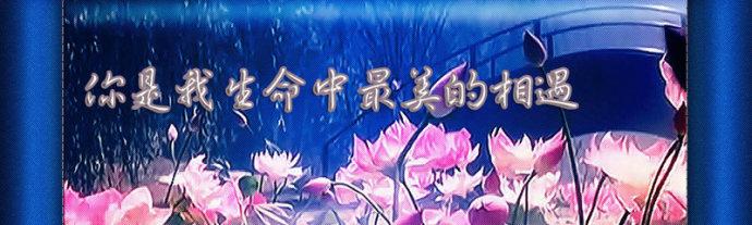我遇到了愚氓_600字