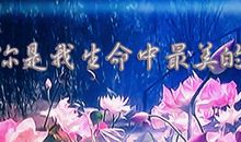 我与愚氓相遇_600字