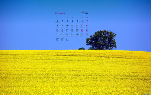 美丽的田园诗般的风景_450字