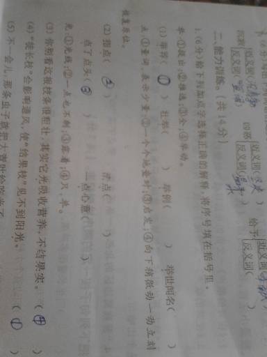 四年级写作组成：母亲的手_550字
