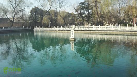 旅游珍珠Spring_600字