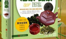 冰水泡茶_1200字