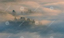 关于雾的作文200字：早晨的雾_200字