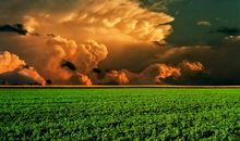 平凡也美丽_600字