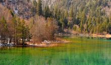 我发现的大自然的美_450字