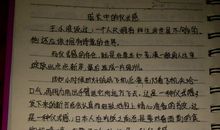 关于亲情的作文：与亲情相伴_500字