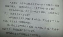 关于小草的作文：坚韧的小草_550字