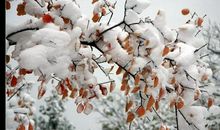 关于小草的作文：无名的小草_550字