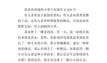 关于小草的作文：小草顽强（二）_400字